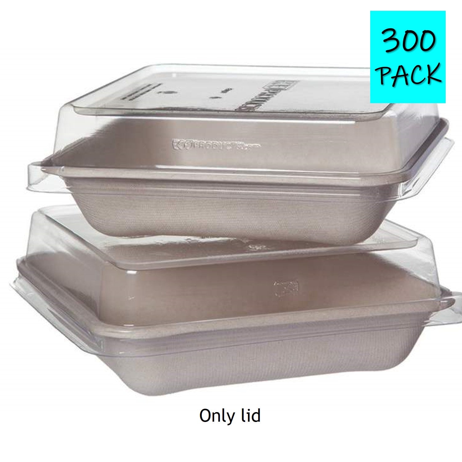 Disposable Plastic Food Container With Anti-Fog Lid - Easy Green